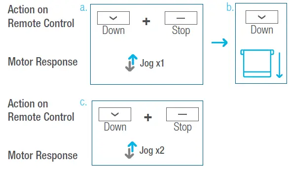 AMP Motors MAPLE Shade Blind Motor 12