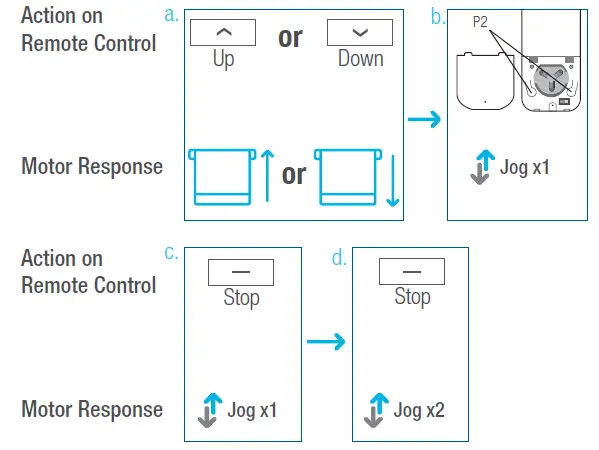 AMP Motors MAPLE Shade Blind Motor 13