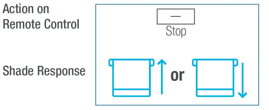 AMP Motors MAPLE Shade Blind Motor 14