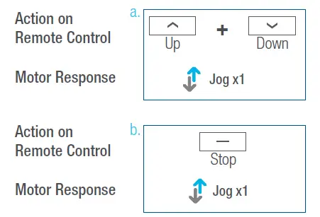 AMP Motors MAPLE Shade Blind Motor 17
