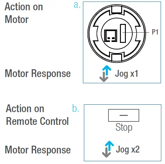 AMP Motors MAPLE Shade Blind Motor 7