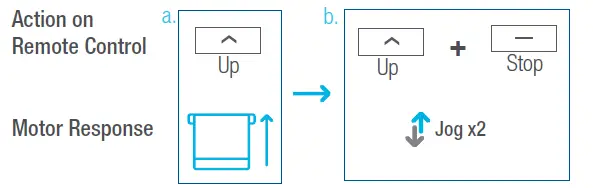 AMP Motors MAPLE Shade Blind Motor 9