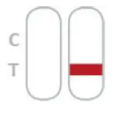 nal-von-minden-REF-491005-NADAL-RSB-Test-fig-5