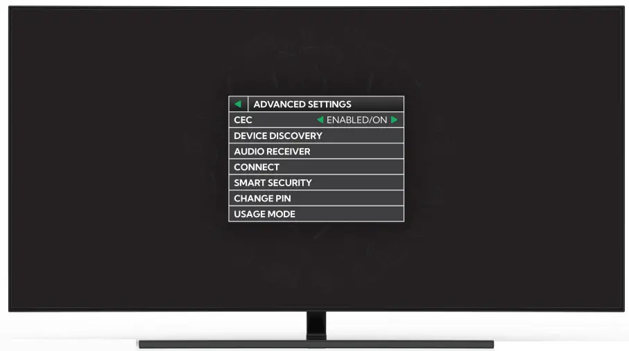 BirdDog PLAY 4K NDI Player Decoder - fig 1