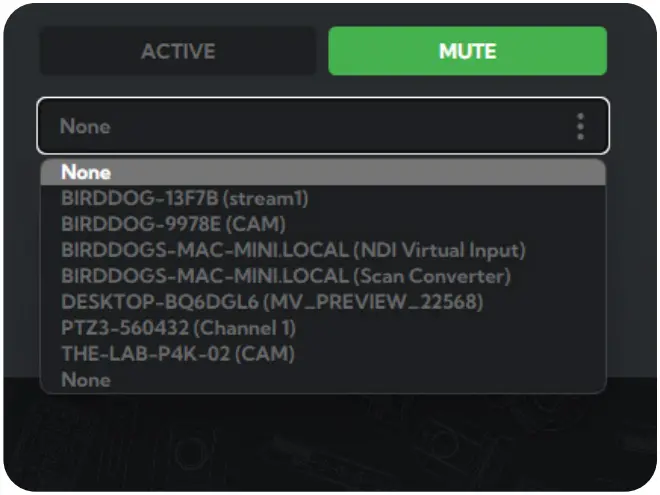 BirdDog PLAY 4K NDI Player Decoder - fig 2