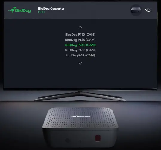 BirdDog PLAY 4K NDI Player Decoder - fig