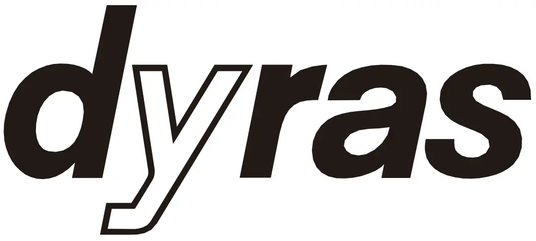 dyeas logo