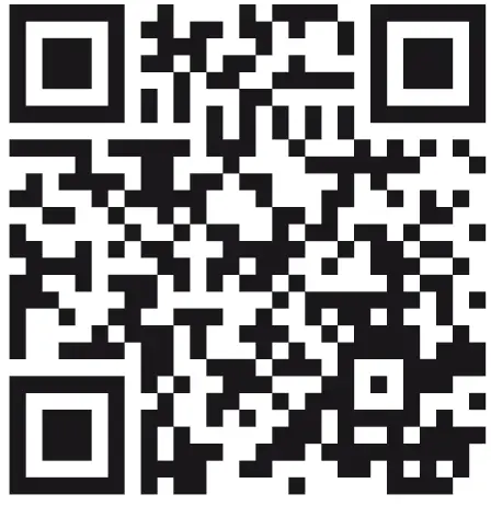 Z21-10797-multi-LOOP-Reverse-Loop-Module --09