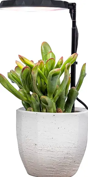 AeroGrow-AGST050-Stem-Grow-Light-product-image