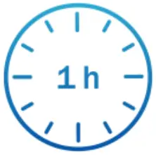 TELTONIKA FMB002 - 1h passes