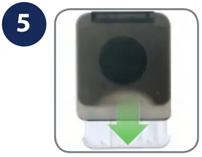 Assembly And Installation Instructions