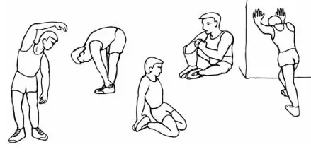 LIFESPAN Magnetic Rowing Machine - Warm-up