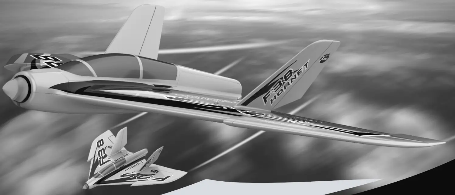 HORNET RC Plane - HORNET-