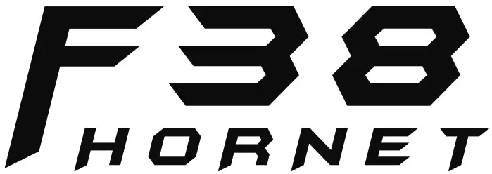 HORNET RC Plane - HORNET RC Plane