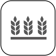 dji T10 - Field Planning 3