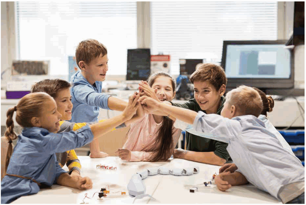 PLAY STEAM RC Robot Snake Learning Booklet fig1