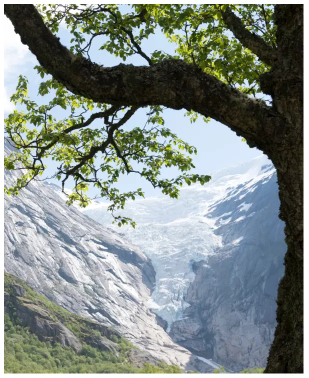 H590 Hegel Music System