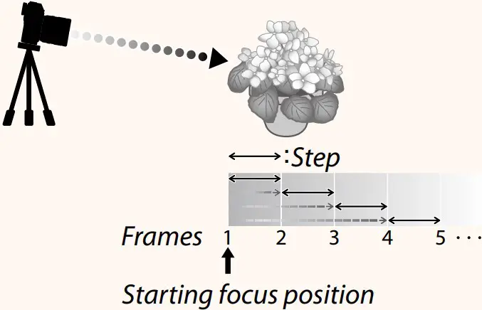 Focus and FRAMES/STEP