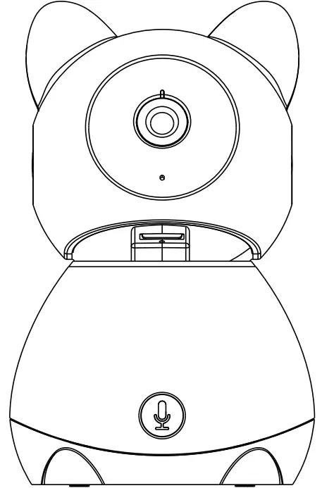 WHAT’S IN THE BOX?