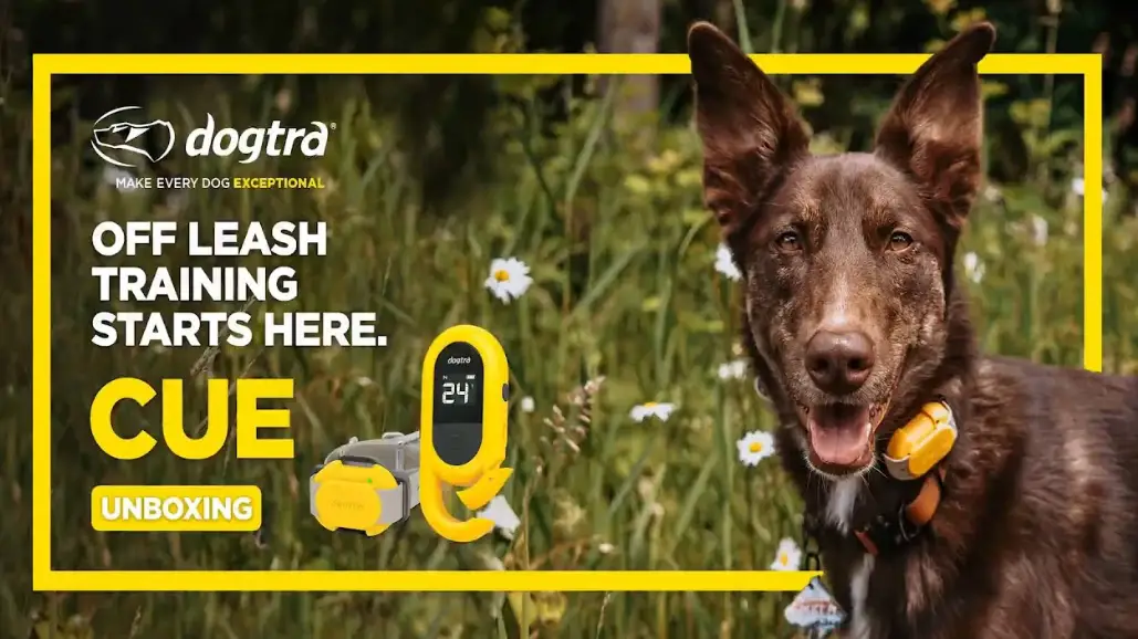 Dogtra Cue Remote Dog Training Collar System Owner's Manual