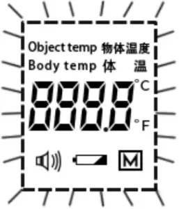 WISELION WBS T007 Infrared Thermometer - system