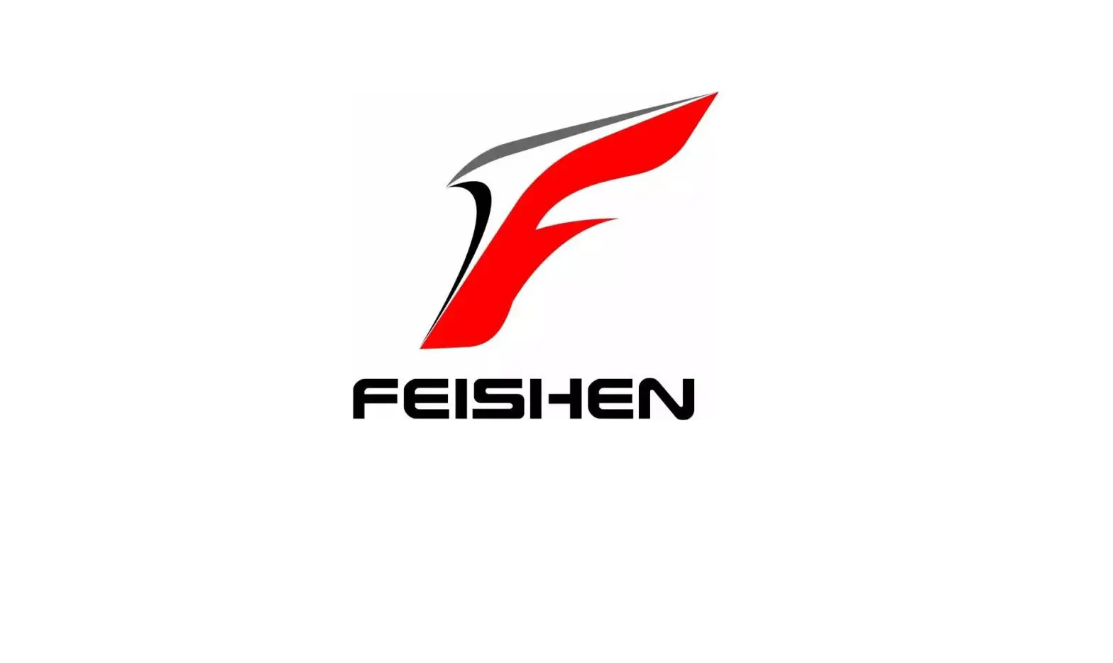 Feishen Fn-e2 O1 Electric Scooter Instruction Manual
