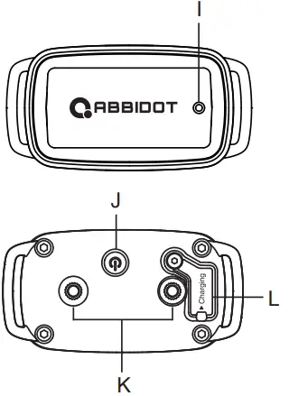 ABBIDOT AB-T30 Dog Training Electronic Collar - Collar