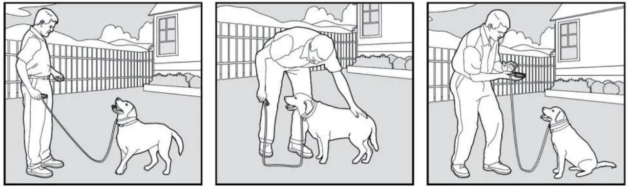 ABBIDOT AB-T30 Dog Training Electronic Collar - Command