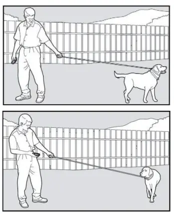 ABBIDOT AB-T30 Dog Training Electronic Collar - Command2