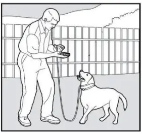 ABBIDOT AB-T30 Dog Training Electronic Collar - Command3
