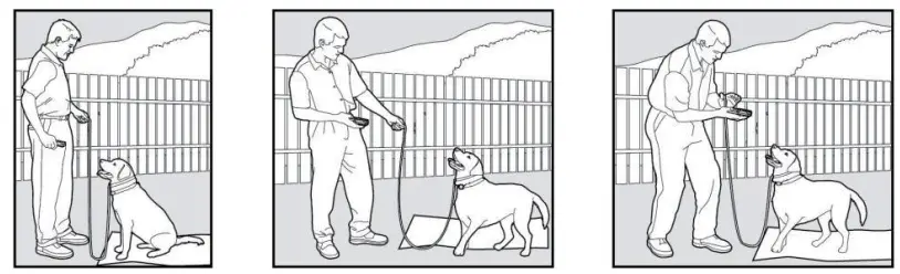 ABBIDOT AB-T30 Dog Training Electronic Collar - Command4