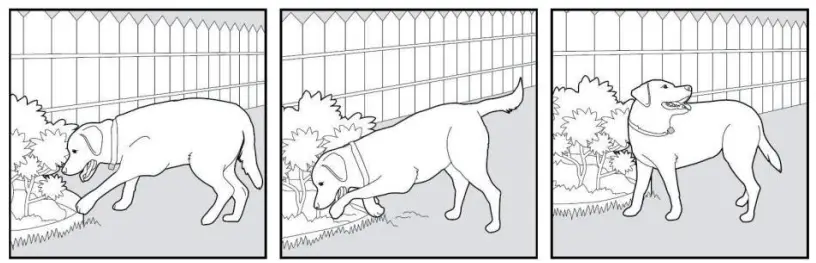 ABBIDOT AB-T30 Dog Training Electronic Collar - Command6