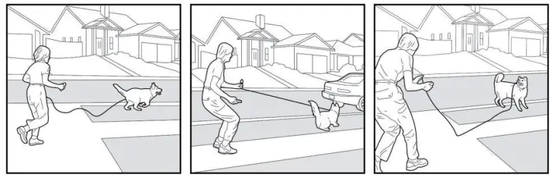 ABBIDOT AB-T30 Dog Training Electronic Collar - Command7