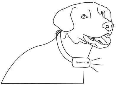 ABBIDOT AB-T30 Dog Training Electronic Collar - LIGHT WORKS