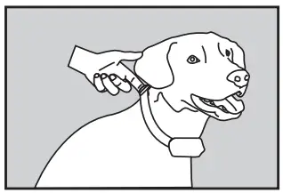 ABBIDOT AB-T30 Dog Training Electronic Collar - skin irritation