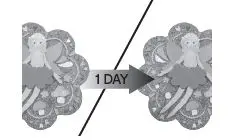 anko 864 Paint Your Own Fairy Stepping Stone 2