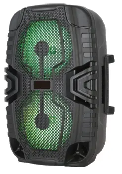 Guangzhou-Ruima-Electronics-TK-6616-Portable-Battery-Speaker-