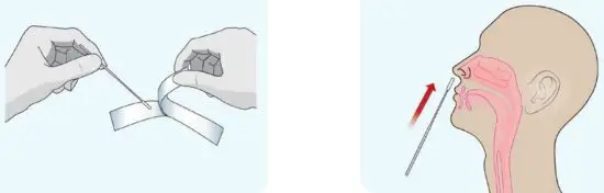 CareStart COVID 19 Antigen Test Kit - fig2