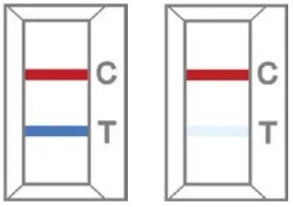 CareStart COVID 19 Antigen Test Kit - fig8