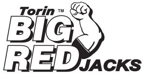 Torin logo