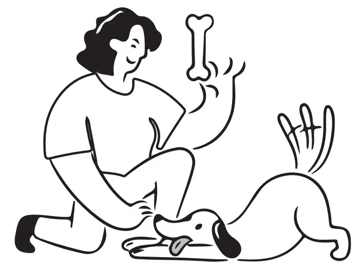 PATPET U20 Ultrasonic Dog Trainer - Figure 18