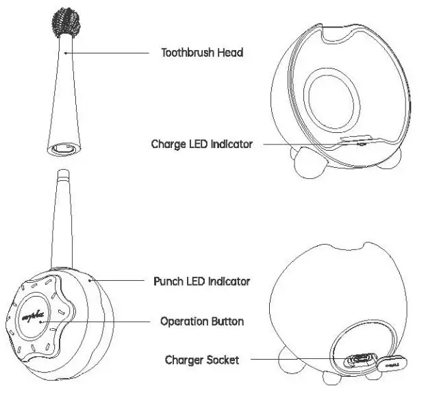 arpha X3 Plus Smart Sonic Musical Electric Toothbrush - accessories