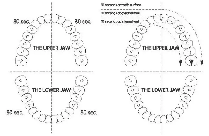 arpha X3 Plus Smart Sonic Musical Electric Toothbrush - how to use