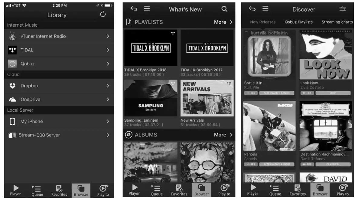 bel canto E1X Stereo Integrated Amplifier - 9