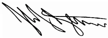 bel canto E1X Stereo Integrated Amplifier - signature