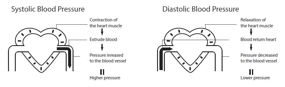 Shenzhen-Finicare-FC-BP100-Upper-Arm-Electronic-Blood-Pressure-Monitor-FIG-29