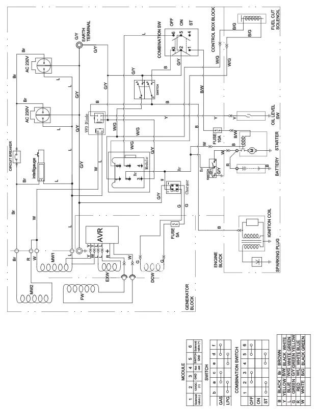 CHAMPION CPG3500E2 DF 2800W Dual Fuel Generator - Fig 13