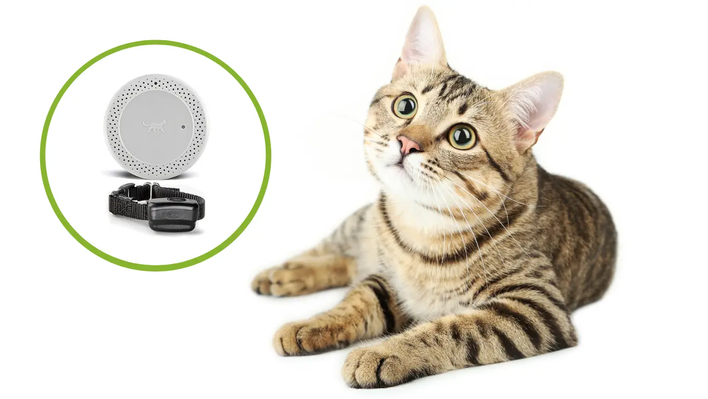 Dogwatch Cat 200 Indoor Boundary Owner's Manual