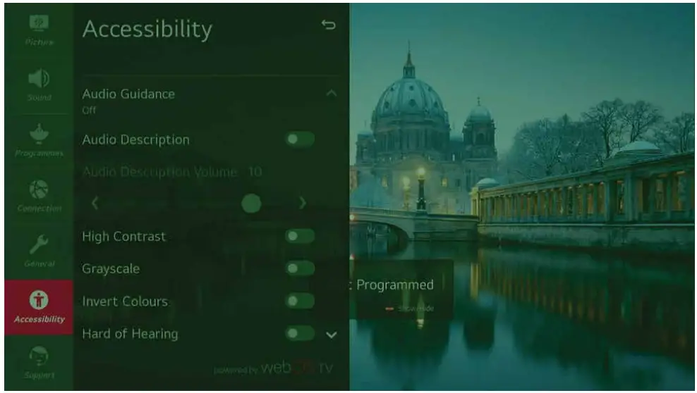 SKYTECH 43ST2203 Ultra HD Smart LED TV - Accessibility