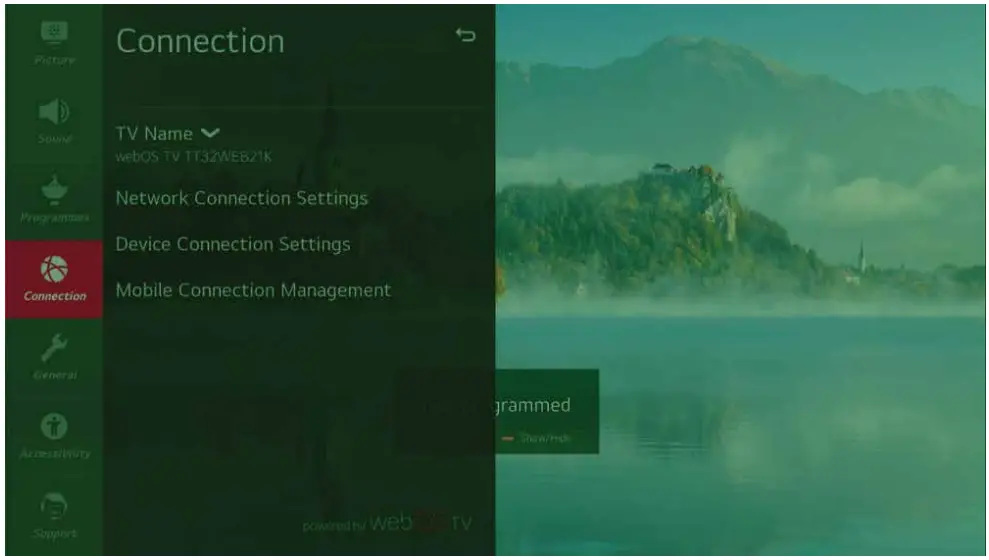 SKYTECH 43ST2203 Ultra HD Smart LED TV - Connection